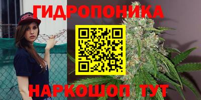 твердый Малоярославец