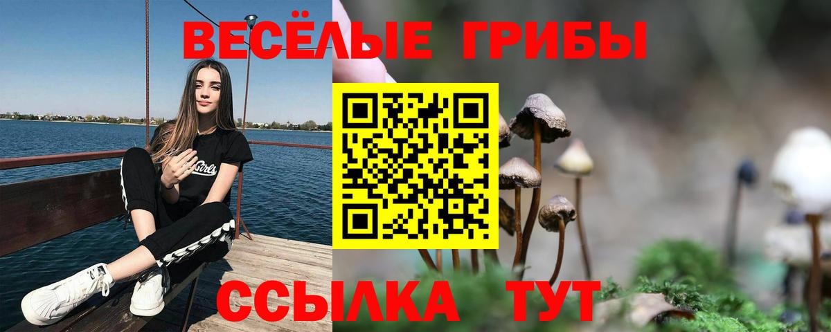 Галлюциногенные грибы мицелий  Вход с VPN  Псилоцибиновые грибы Cubensis  Волгоград 