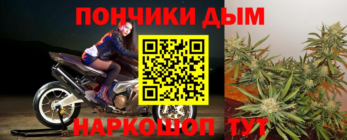 Бошки Шишки гибрид Волгоград